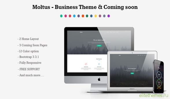 Moltus - Creativemarket Onepage & Coming Pages