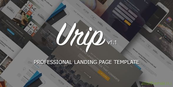 Urip - Themeforest Professional Landing Page
