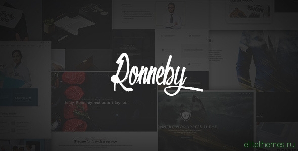 Ronneby v1.1.0- High-Performance WordPress Theme