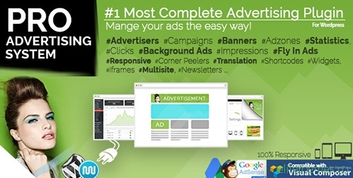 WP PRO Advertising System v4.6.13 - All In One Ad Manager