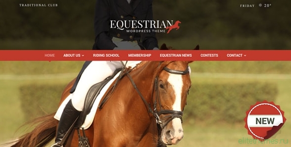 Equestrian v4.1.1 - Horses & Stables WordPress Theme