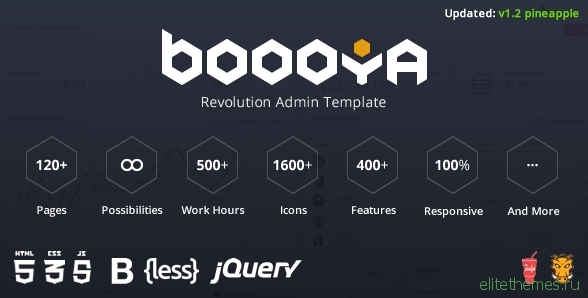 Boooya - Revolution Admin Template