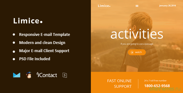 Limice - Responsive E-mail Template + Online Access