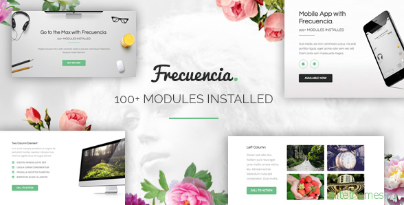 Frecuencia - 100+ Modules - Email + Online Template Builder
