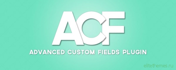 Advanced Custom Fields Pro v5.6.2