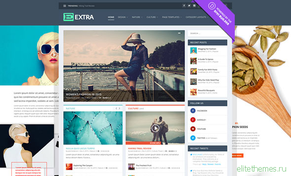 Extra v2.0.84 - Elegantthemes Premium WordPress Theme