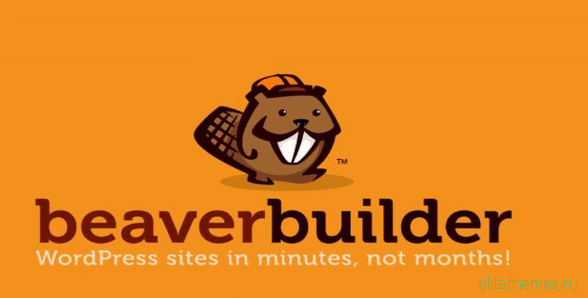 Beaver Builder Pro v2.0.2.1