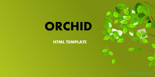 Orchid v1.0 - HTML Template