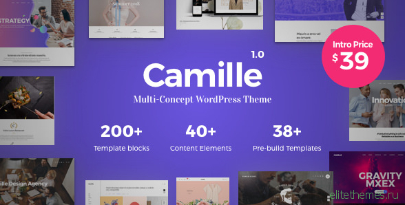 Camille v1.0.1 - Multi-Concept WordPress Theme
