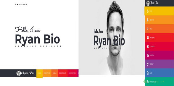 Bio v1.0 - Portfolio And Resume Template