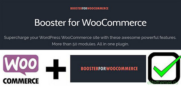 Booster Plus for WooCommerce v3.8.0