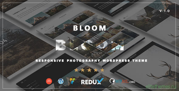 Bloom v1.0 - Responsive Photography / Portfolio Theme