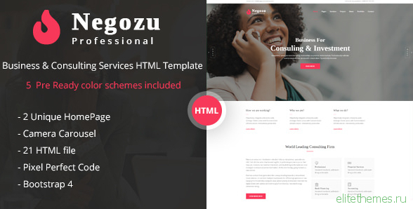 Negozu - Business and Consulting Services HTML Template
