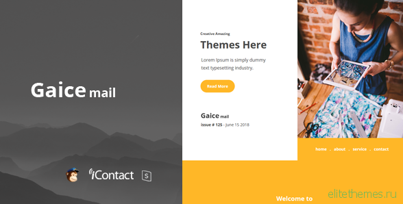 Gaice Mail v1.0 - Responsive E-mail Template + Online Access