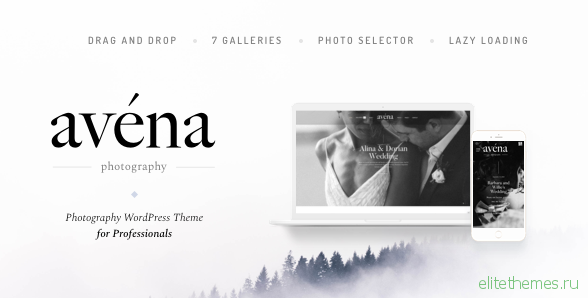 Avena v1.0.3 - Photography WordPress for Professionals
