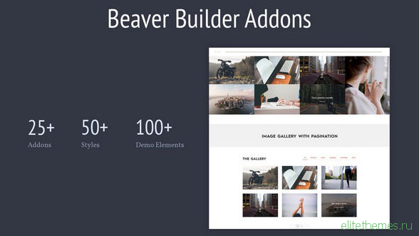 Livemesh – Addons for Beaver Builder Pro v2.5