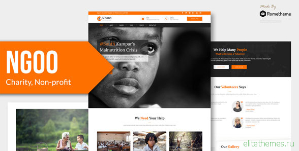 NGOO - Charity, Non-profit, and Fundraising HTML Template