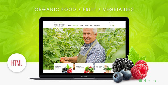 Fresh Food v1.0.0 – Organic Food/Fruit/Vegetables eCommerce HTML Template
