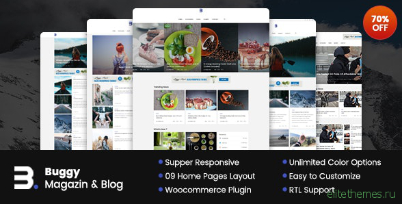 Buggy v2.0.0 - Magazine & Blog WordPress Themes