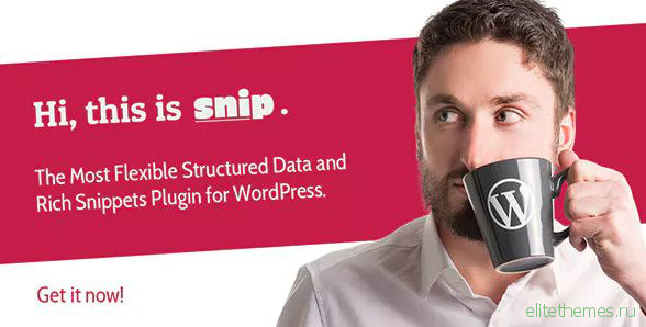 SNIP v2.14.17 – Structured Data Plugin for WordPress