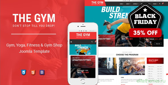 TheGym v1.0.0 - Yoga, Fitness & Accessories Shop Joomla Template