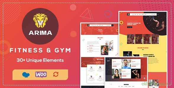 Arima v1.2 - Gym, Boxing WordPress Theme
