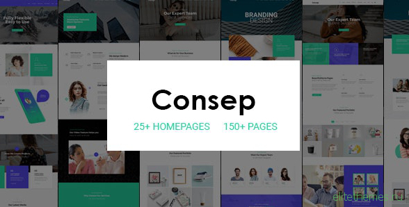 Consep v1.0 - Responsive Multi-Purpose HTML5 Template