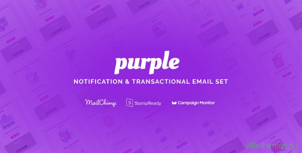 Purple v1.0.1 - Notification & Transactional Email Templates