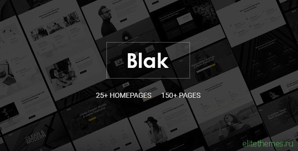 Blak v1.0 - Responsive MultiPurpose HTML5 Website Template