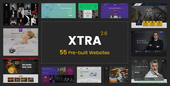 XTRA v3.9.5 - Multipurpose WordPress Theme + RTL nulled