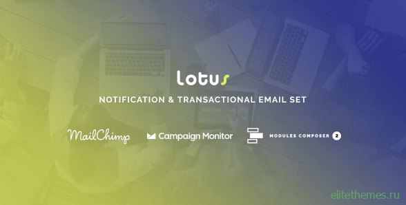 Lotus v1.0 - Notification & Transactional Email Templates with Online Builder