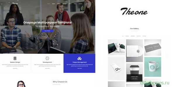 Theone v1.0 - Onepage Multiporpose Template
