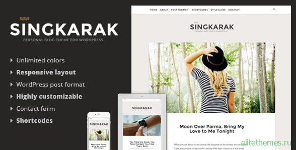 Singkarak v1.0.8 - Responsive WordPress Blog Theme