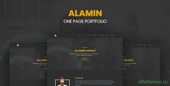 Alamin v1.0 - One Page Portfolio